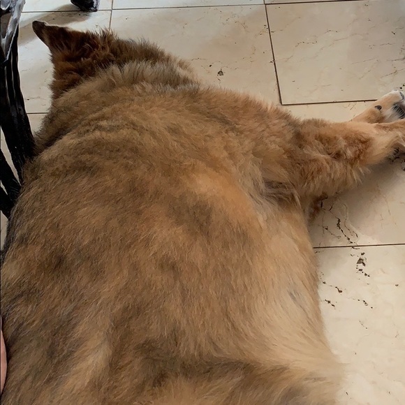 Samples - Picture 2 of 2